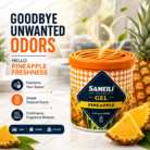 Sameili Pineapple Air Freshener Gel for freshening car, home and office